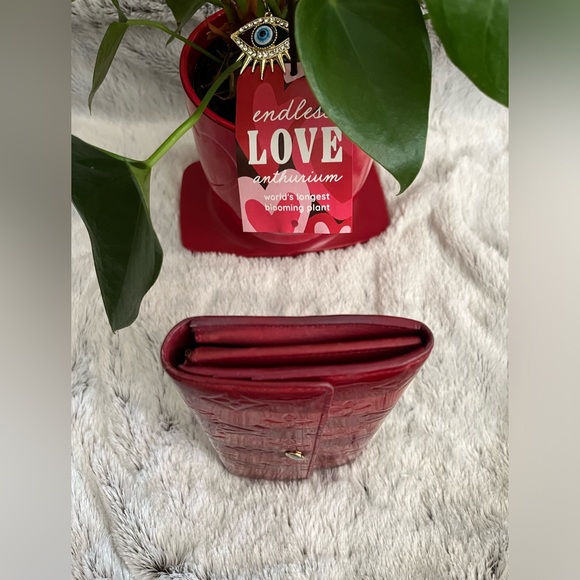 LOUIS VUITTON RED STRIPE VERNIS WALLET - Picture 4 of 10